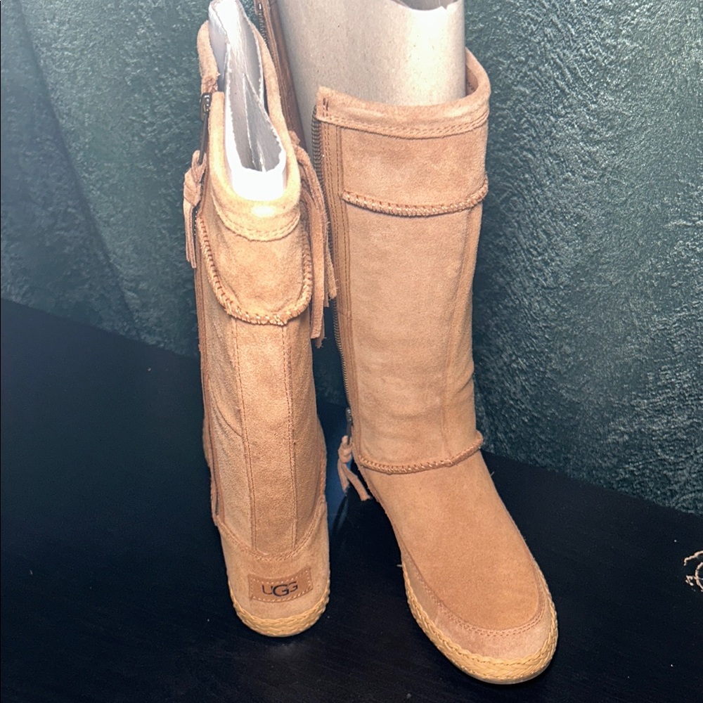 UGG Women's Chestnut Winter Boots